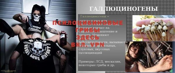 дмт Алексин