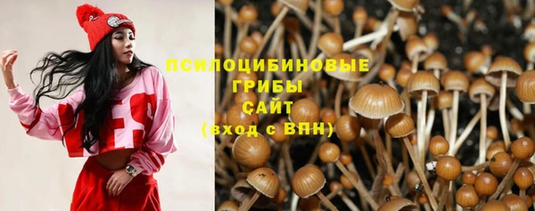 мет Россошь